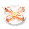 Langoustine (la pièce)