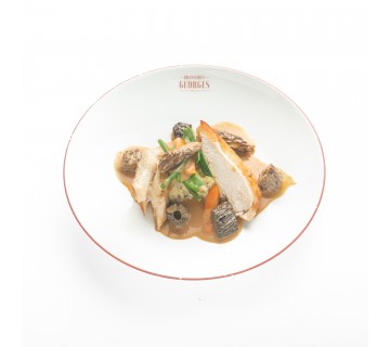 Suprême de coucou de Malines rôti au romarin crèmeux aux morilles