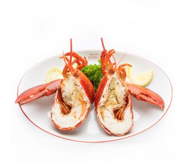 Homard (+/- 575 gr)